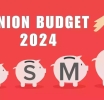 Union Budget benefits MSME-based textile Industry and leather exports